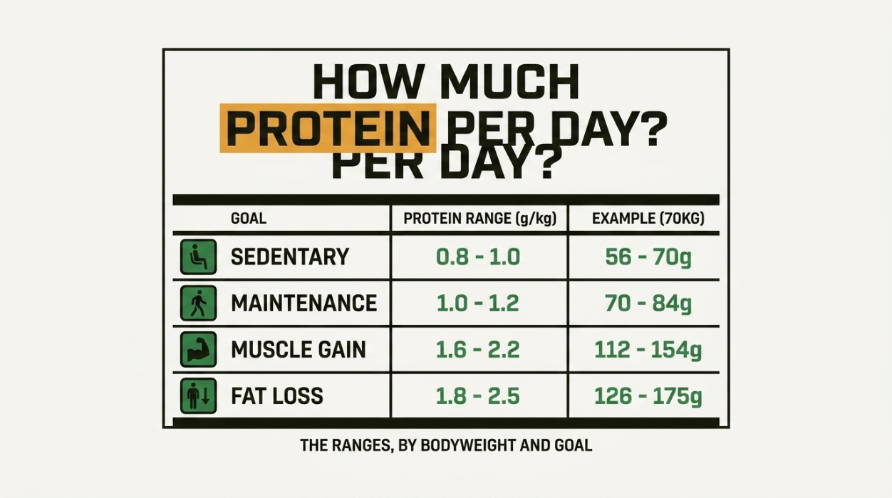 How Much Protein Per Day? The Ranges, by Bodyweight and Goal