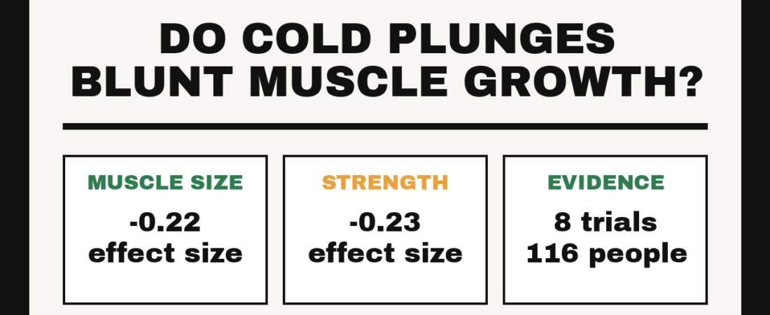 Do Cold Plunges Blunt Muscle Growth?