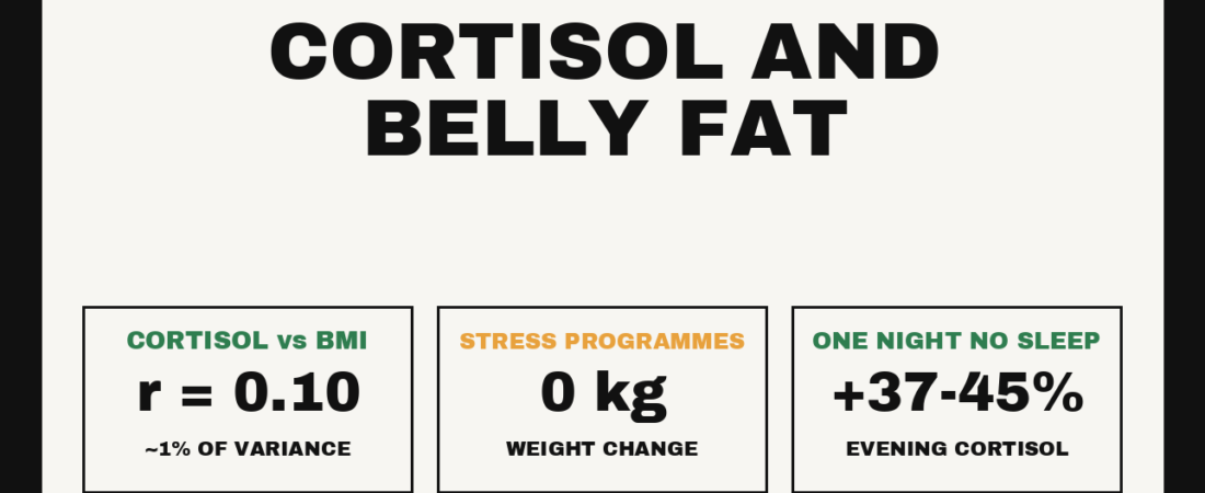 Cortisol and Belly Fat: What the Research Shows