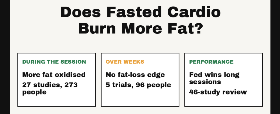 Does Fasted Cardio Burn More Fat?
