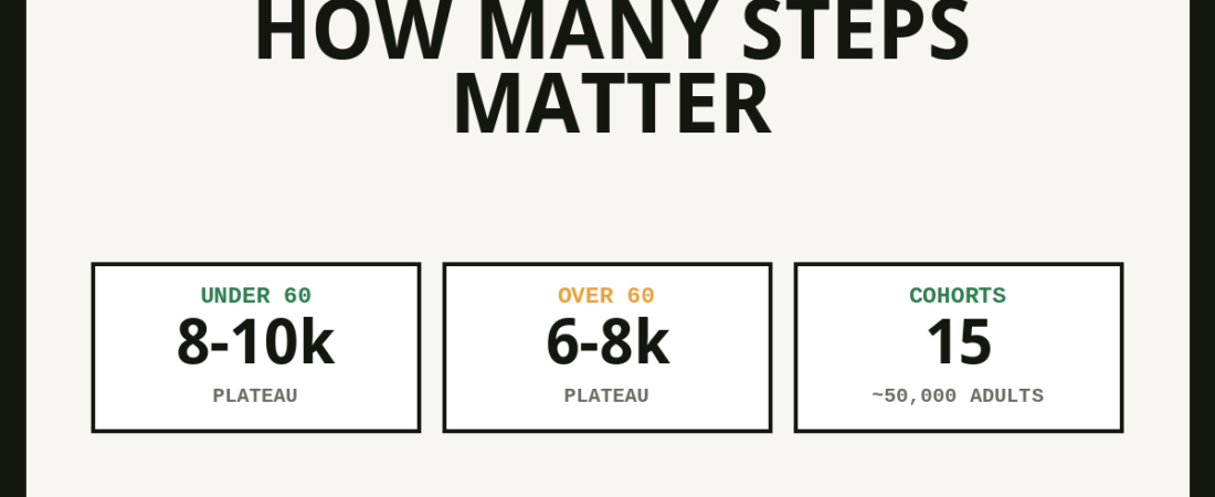 Paluch 2022: How Many Steps Actually Matter