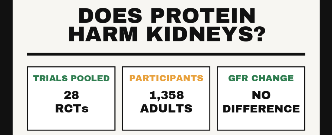 Does High Protein Damage Your Kidneys?