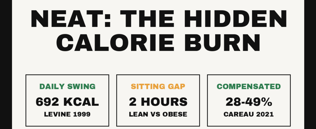 NEAT: The Calories You Burn Without Exercising