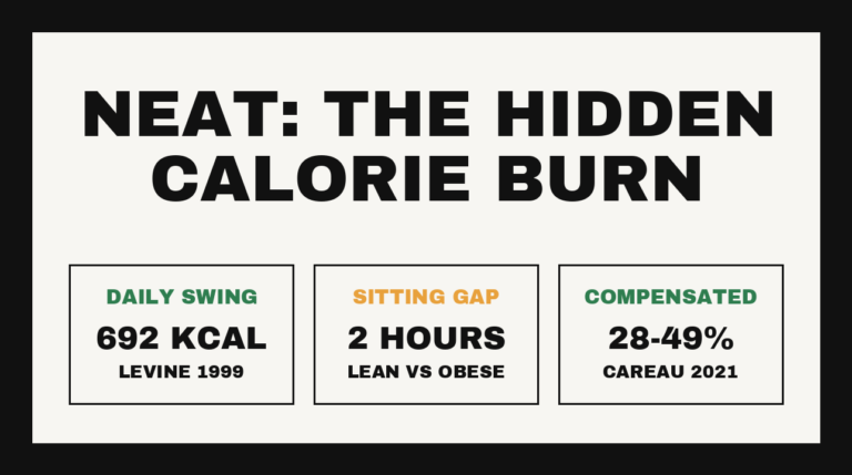 NEAT chart: daily swing up to 692 kcal, two-hour sitting gap, 28-49% compensated